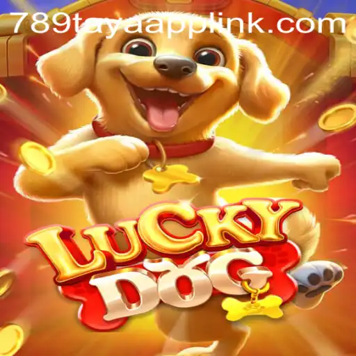 Exploring the Exciting World of LuckyDog and 789TAYA.COM